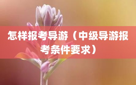 怎样报考导游（中级导游报考条件要求）