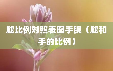 腿比例对照表图手腕（腿和手的比例）