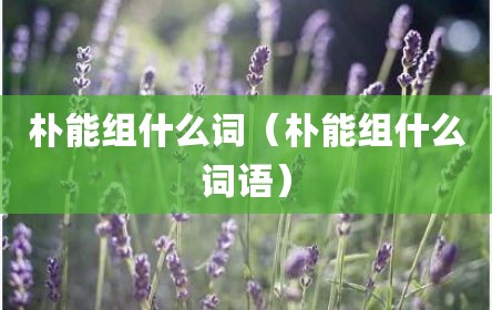 朴能组什么词（朴能组什么词语）