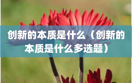 创新的本质是什么（创新的本质是什么多选题）