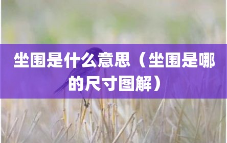 坐围是什么意思（坐围是哪的尺寸图解）