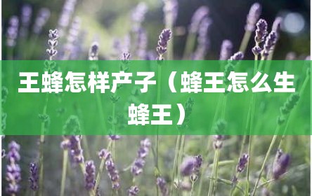 王蜂怎样产子（蜂王怎么生蜂王）