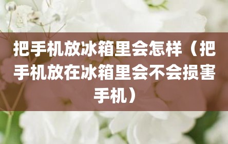 把手机放冰箱里会怎样（把手机放在冰箱里会不会损害手机）