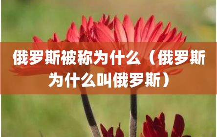 俄罗斯被称为什么（俄罗斯为什么叫俄罗斯）