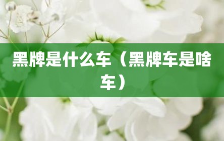 黑牌是什么车（黑牌车是啥车）