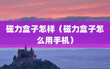 磁力盒子怎样（磁力盒子怎么用手机）