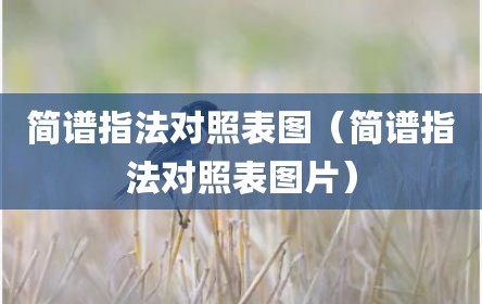 简谱指法对照表图（简谱指法对照表图片）