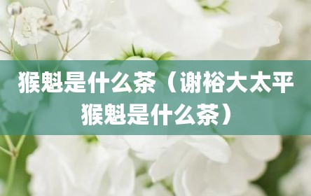 猴魁是什么茶（谢裕大太平猴魁是什么茶）