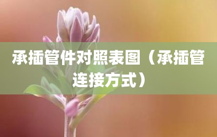 承插管件对照表图（承插管连接方式）