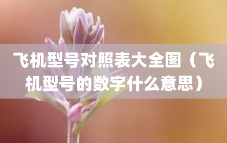 飞机型号对照表大全图（飞机型号的数字什么意思）