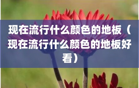 现在流行什么颜色的地板（现在流行什么颜色的地板好看）
