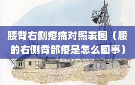 腰背右侧疼痛对照表图（腰的右侧背部疼是怎么回事）