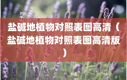 盐碱地植物对照表图高清（盐碱地植物对照表图高清版）