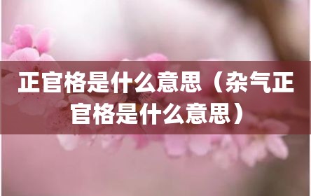 正官格是什么意思（杂气正官格是什么意思）