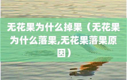 无花果为什么掉果（无花果为什么落果,无花果落果原因）