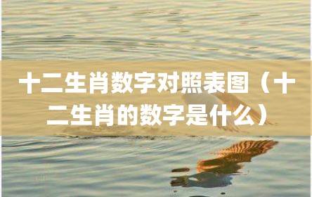 十二生肖数字对照表图（十二生肖的数字是什么）