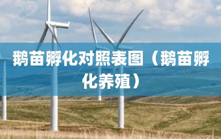 鹅苗孵化对照表图（鹅苗孵化养殖）