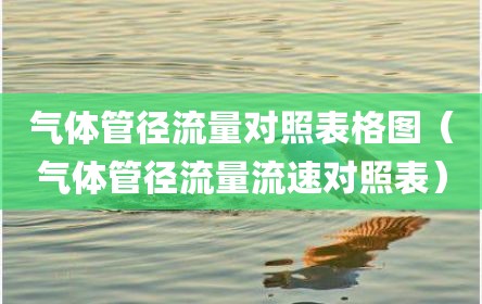 气体管径流量对照表格图（气体管径流量流速对照表）