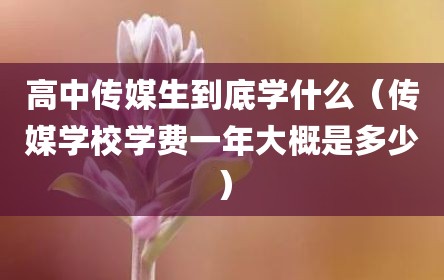 高中传媒生到底学什么（传媒学校学费一年大概是多少）