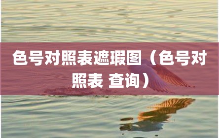 色号对照表遮瑕图（色号对照表 查询）