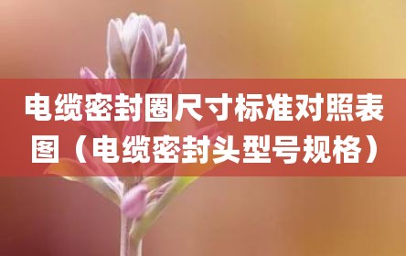 电缆密封圈尺寸标准对照表图（电缆密封头型号规格）