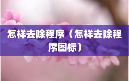 怎样去除程序（怎样去除程序图标）