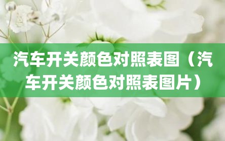 汽车开关颜色对照表图（汽车开关颜色对照表图片）