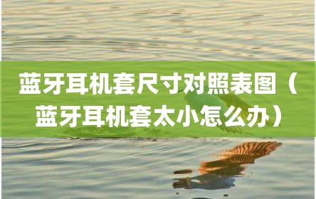 蓝牙耳机套尺寸对照表图（蓝牙耳机套太小怎么办）