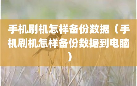 手机刷机怎样备份数据（手机刷机怎样备份数据到电脑）