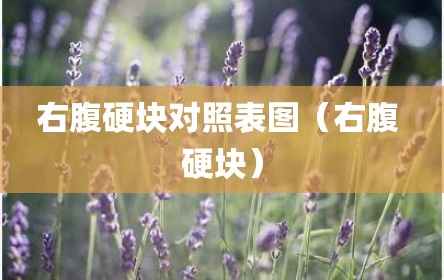 右腹硬块对照表图（右腹 硬块）