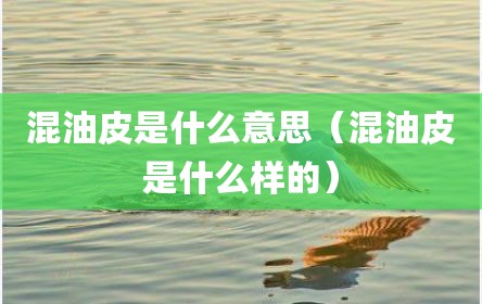 混油皮是什么意思（混油皮是什么样的）