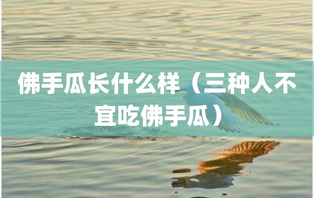 佛手瓜长什么样（三种人不宜吃佛手瓜）