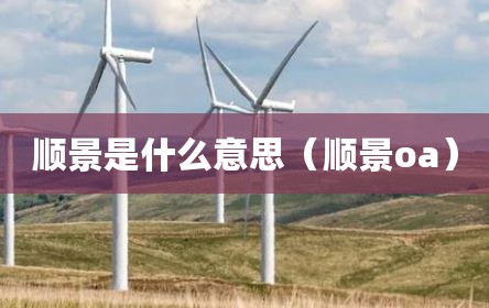 顺景是什么意思（顺景oa）