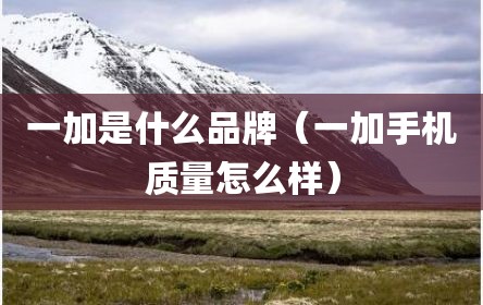 一加是什么品牌（一加手机质量怎么样）