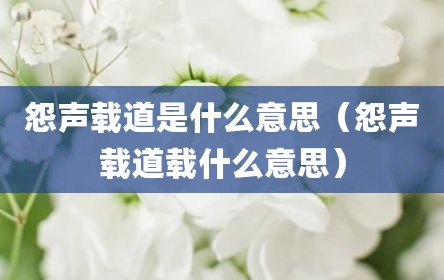 怨声载道是什么意思（怨声载道载什么意思）