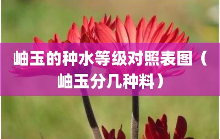 岫玉的种水等级对照表图（岫玉分几种料）