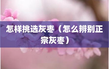 怎样挑选灰枣（怎么辨别正宗灰枣）