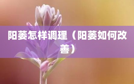 阳萎怎样调理（阳萎如何改善）