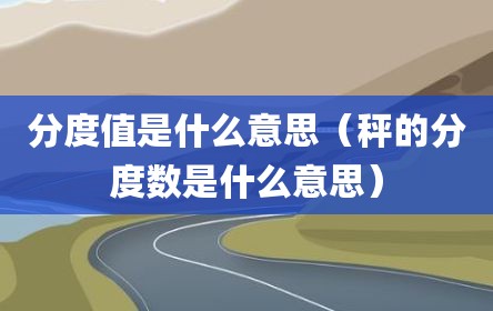 分度值是什么意思（秤的分度数是什么意思）