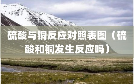 硫酸与铜反应对照表图（硫酸和铜发生反应吗）