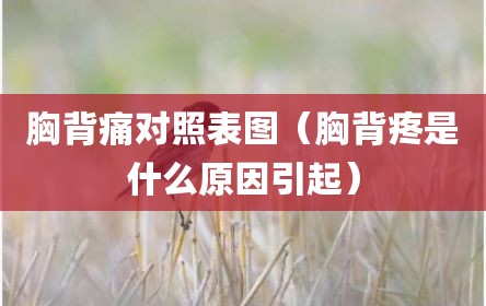 胸背痛对照表图（胸背疼是什么原因引起）
