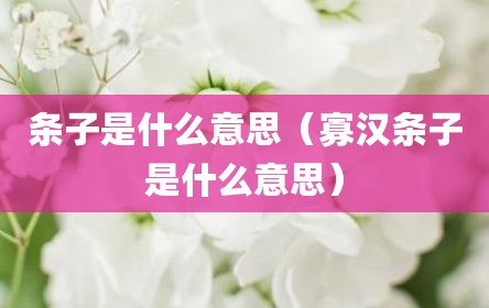 条子是什么意思（寡汉条子是什么意思）