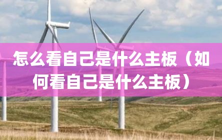 怎么看自己是什么主板（如何看自己是什么主板）