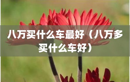 八万买什么车最好（八万多买什么车好）