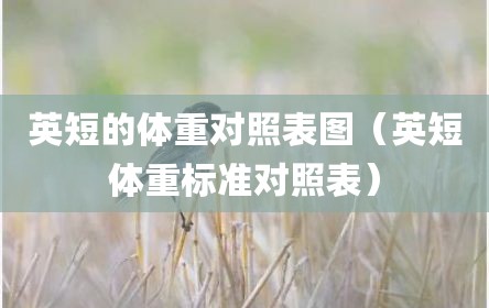英短的体重对照表图（英短体重标准对照表）