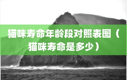 猫咪寿命年龄段对照表图（猫咪寿命是多少）