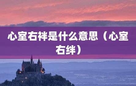 心室右袢是什么意思（心室右绊）