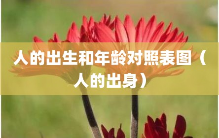 人的出生和年龄对照表图（人的出身）