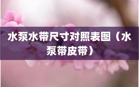 水泵水带尺寸对照表图（水泵带皮带）