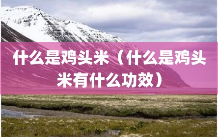 什么是鸡头米（什么是鸡头米有什么功效）